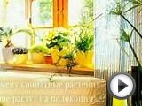 Системы солнечного освещения Solatube